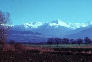 mont11.jpg (6485 octets)